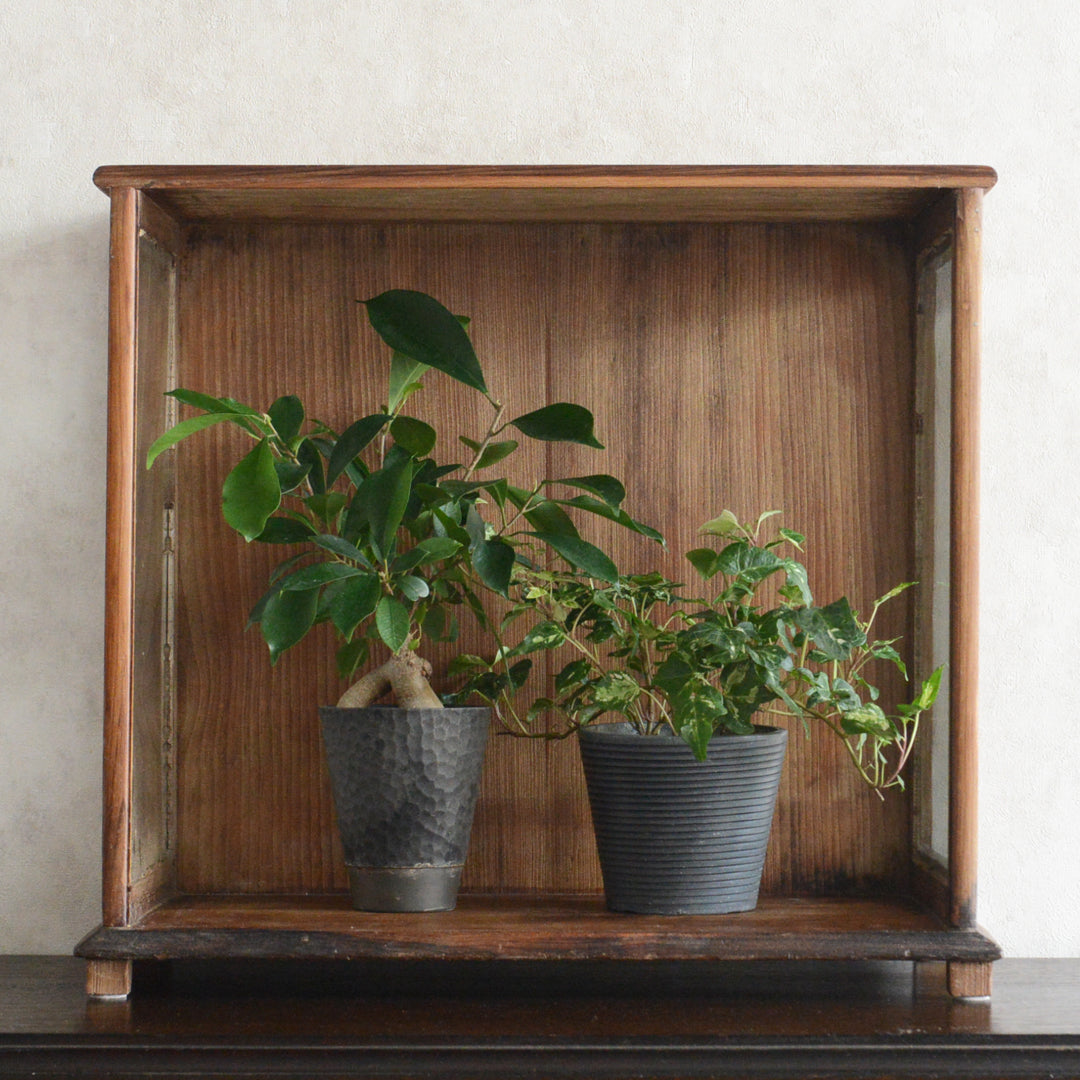 ヴィンテージチーク　ガラススモールショーケース３