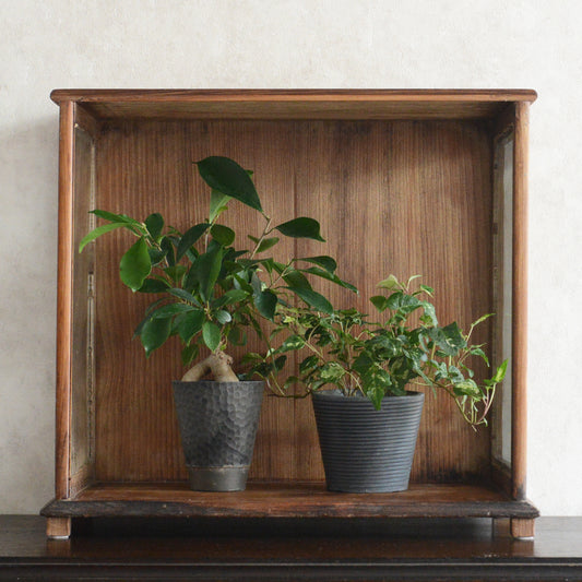 ヴィンテージチーク　ガラススモールショーケース３