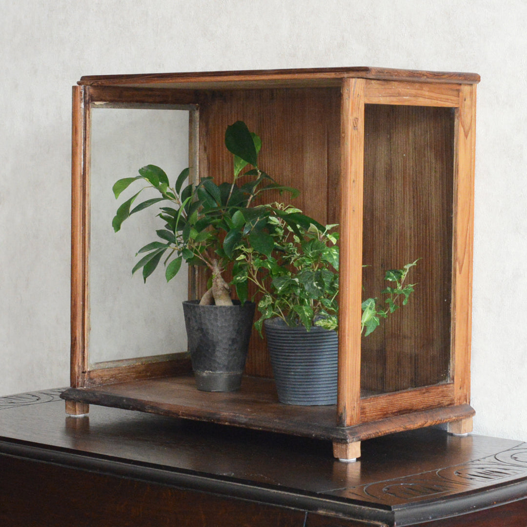 ヴィンテージチーク　ガラススモールショーケース３