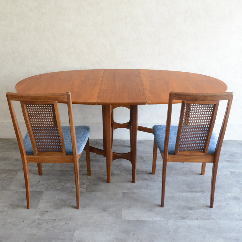 Nathan ネイサン ゲートレッグ ダイニングテーブル 10(オーバル・天板剝離再塗装済）