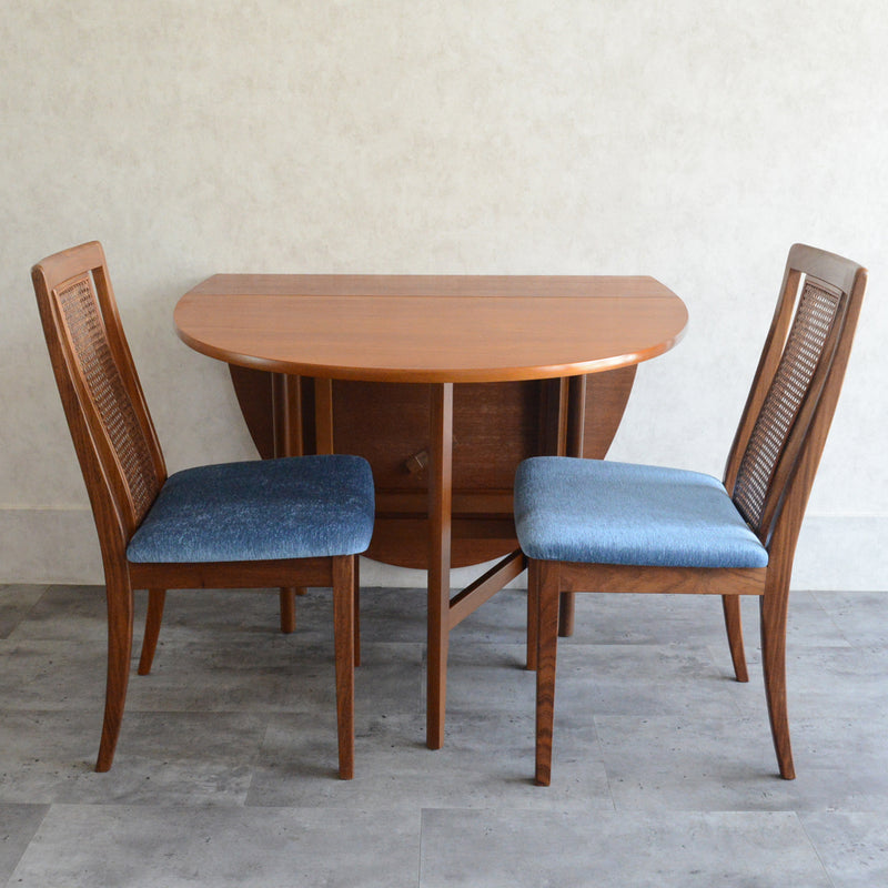 Nathan ネイサン ゲートレッグ ダイニングテーブル 10(オーバル・天板剝離再塗装済）