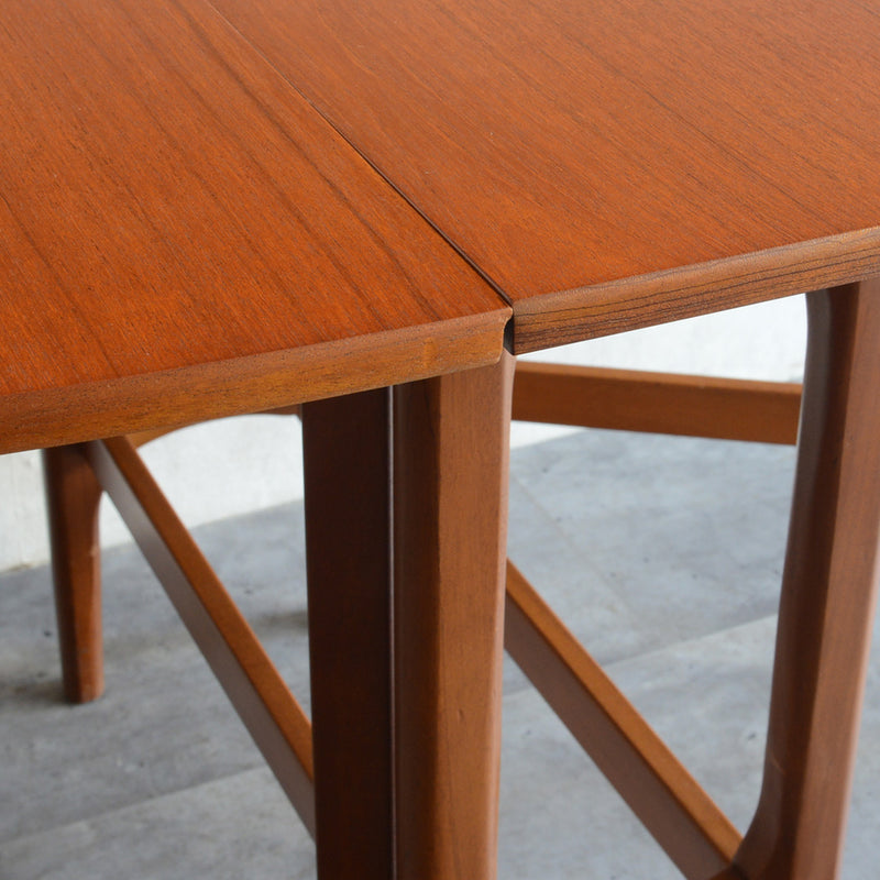 Nathan ネイサン ゲートレッグ エクステンション ダイニングテーブル 21 (オーバル）