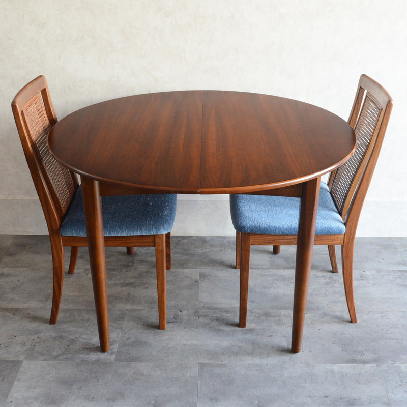 Jentique コンパクト エクステンション ラウンドテーブル11(天板剥離再塗装済)