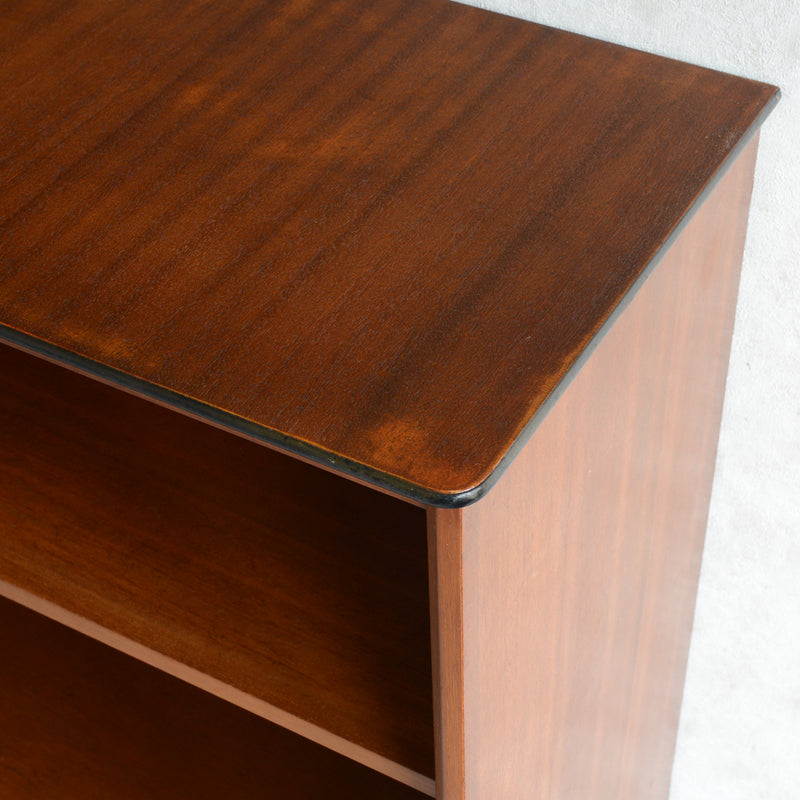 VANSON(バンソン)ガラスキャビネット20(木扉付)