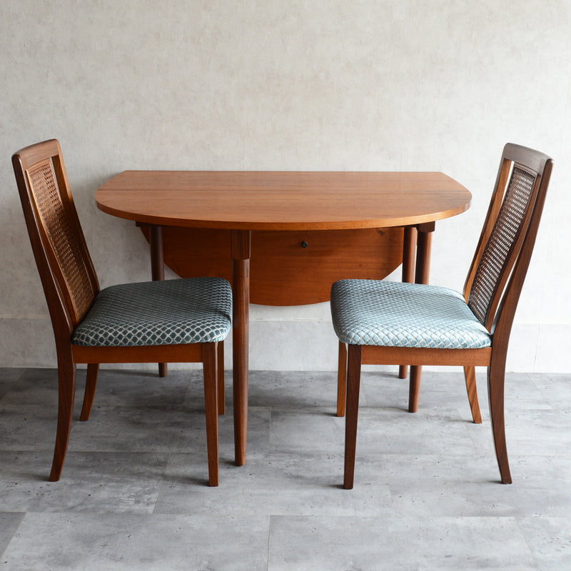 G-PLAN ジープラン ゲートレッグ テーブル19（オーバル）天板剥離再塗装済