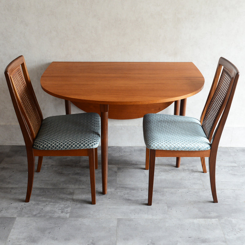 G-PLAN ジープラン ゲートレッグ テーブル19（オーバル）天板剥離再塗装済